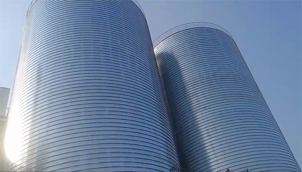 榆阳2座混凝土高架卷板仓